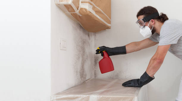 Professional Basement Mold Remediation technician working in Elgin, OR